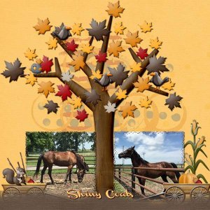 Shiny Coats