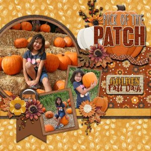 Beautiful Pumpkin