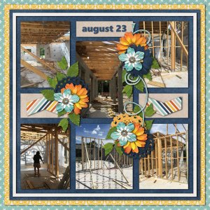 House Progress