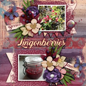 Lingonberries1