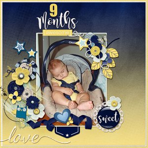 9 Months