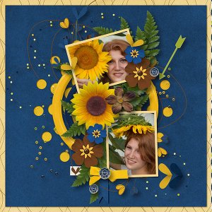 sunflowers