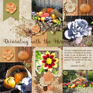 Decorating with the Harvest