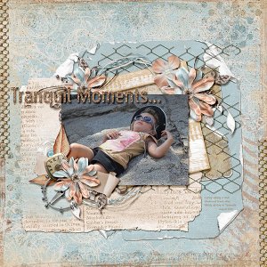 Tranquil Moments