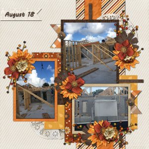 House Progress