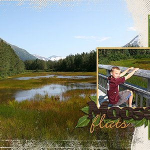 Moose Flats