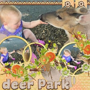 Deer