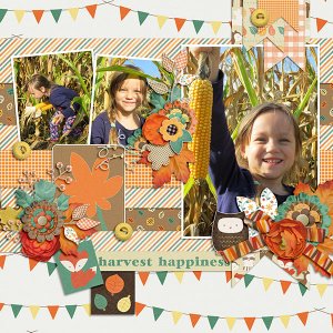 Harvest Happiness