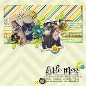 Little Man | Sept. 2016
