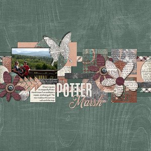 Potter Marsh 1