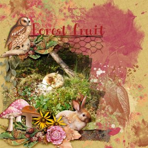 Forest-fruit