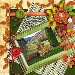 The-beauty-of-fall