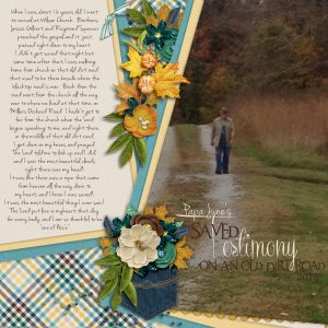 Testimony