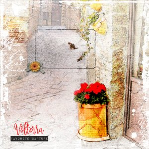 Volterra