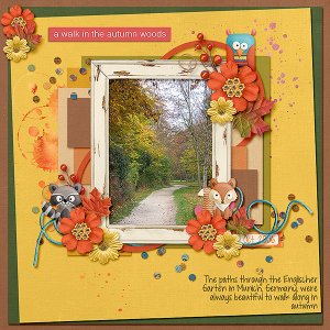 A Walk in the Autumn Woods