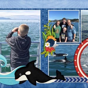 Ocean Wonders