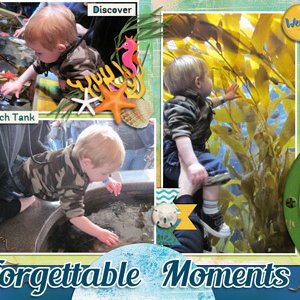 Touch Pools and Kelp Forest