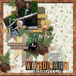 Woodland Adventure