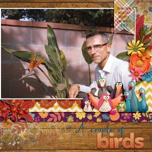 A Couple of Birds
