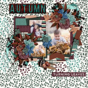Turning-Leaves