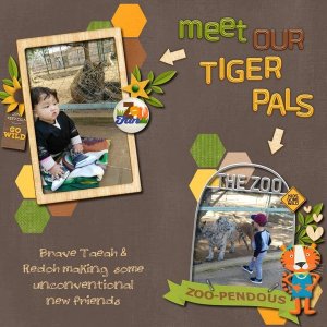 201609 Meet our Tiger pals
