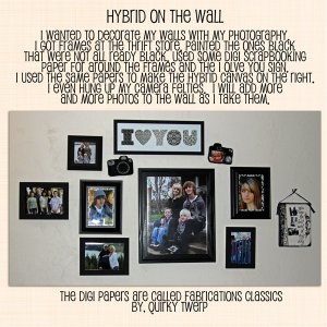 Hybrid on the wall