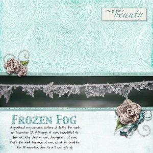 frozenfog