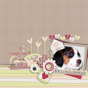 Puppy Love