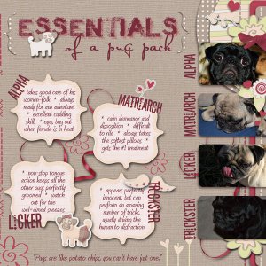 Puppy Love - essentials of a pug pack
