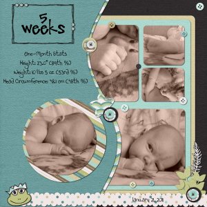 5 Weeks