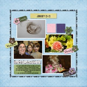 2011 365- Week 3b