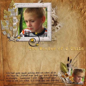 The Wonder Of A Child