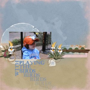 Playing with the Birds