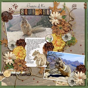 Beware of the Squirrel!!!