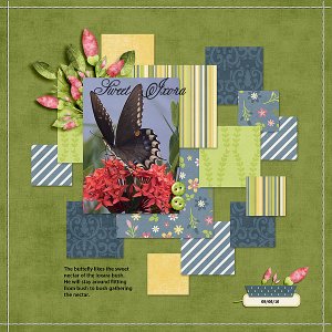 Sweet Ixora