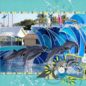 Dolphins!
