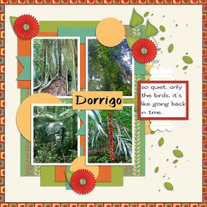Dorrigo