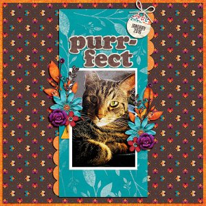 purr-fect
