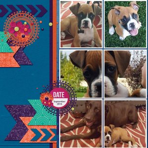September-Puppy-Love1WEB