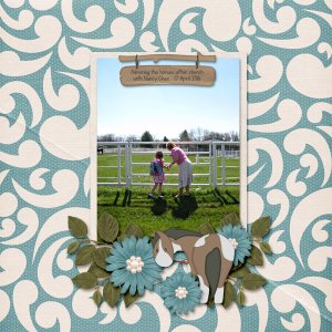Admiring the Horses