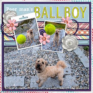 Ball Boy