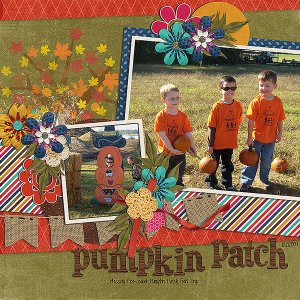 pumpkin patch