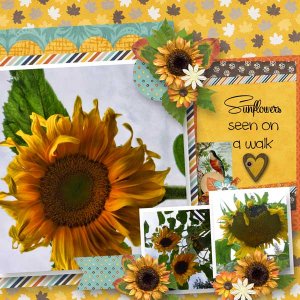 Oct 2016 Template Bundle The Big Picture 16