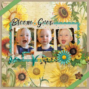 Bloom and Grow