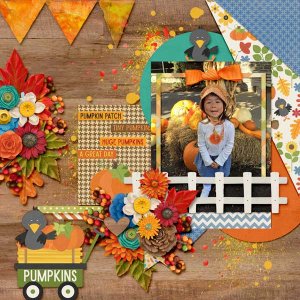 dt-timesaverstrio4-temp2-and-Pumpkin-Palooza