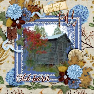 Old-barn