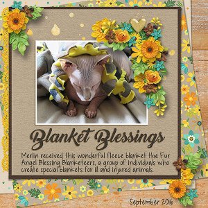 Blanket Blessings