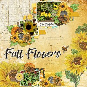 Fall Flowers