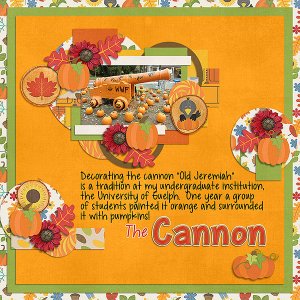 The Cannon
