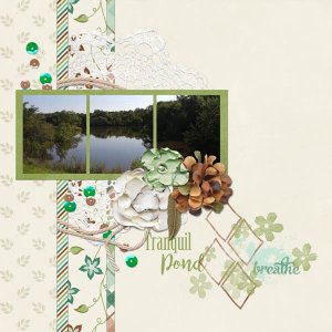 Tranquil Pond